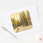 Schneebedeckte Pinienwälder Foto Quadratischer Aufkleber (Umschlag)