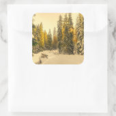 Schneebedeckte Pinienwälder Foto Quadratischer Aufkleber (Tasche)
