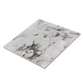 Schneebedeckte Pinienwälder (von Pekka Halonen) Fliese (Seite)