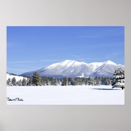 Schneebedeckte Prärie & San Francisco Peaks Arizon Poster (Vorne)