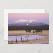 Schneebedeckte San Francisco Peaks bei Sonnenunter Postkarte (Vorne/Hinten)