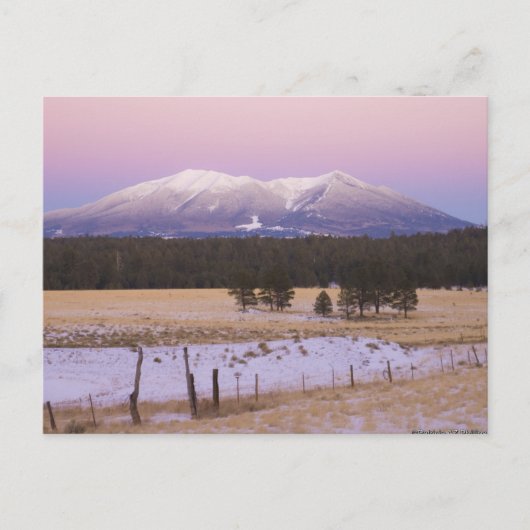 Schneebedeckte San Francisco Peaks bei Sonnenunter Postkarte (Vorderseite)