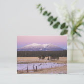Schneebedeckte San Francisco Peaks bei Sonnenunter Postkarte (Stehend Vorderseite)