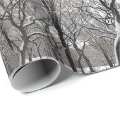 Schneebedeckte Schilfgräber im Central Park NYC Geschenkpapier (Rolleneckpunkt)