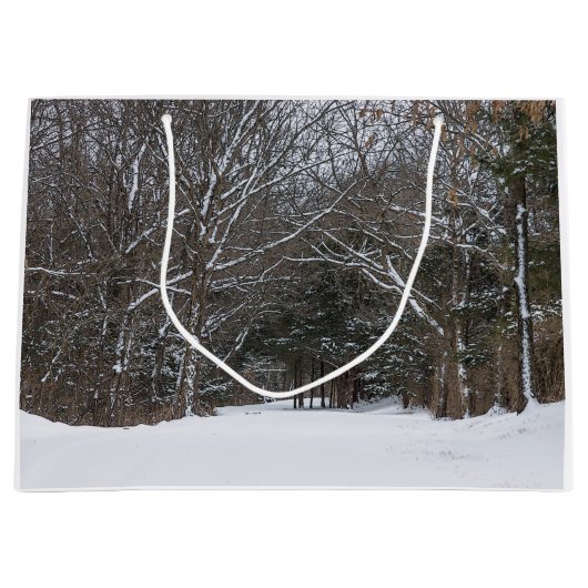 Schneebedeckte Straße Große Geschenktüte (Vorderseite)