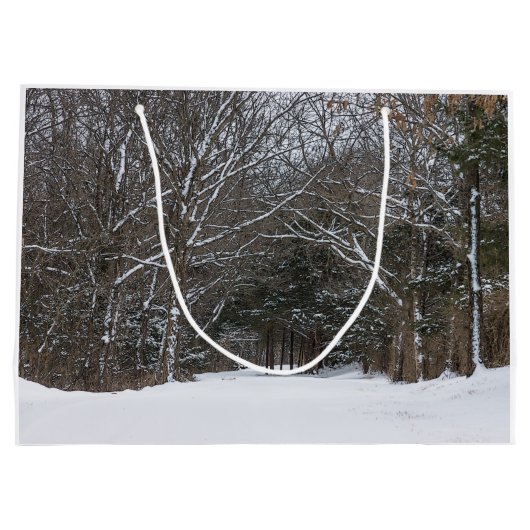 Schneebedeckte Straße Große Geschenktüte (Rückseite)