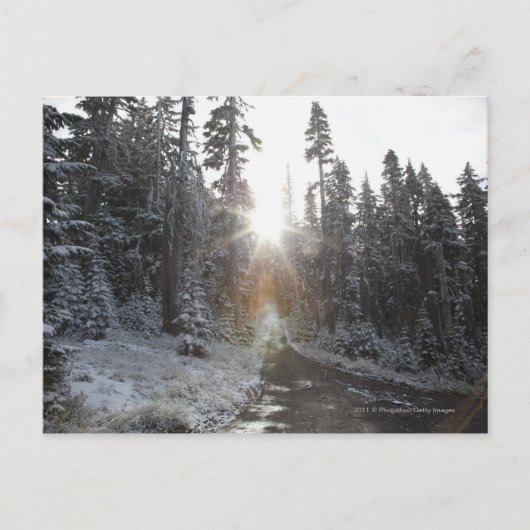 Schneebedeckte Straße in die Sonne Postkarte (Vorderseite)