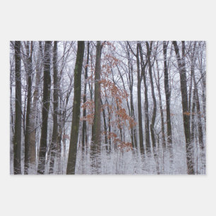Schneebedeckte Wälder Winterlandschaft Fotografie Geschenkpapier Set