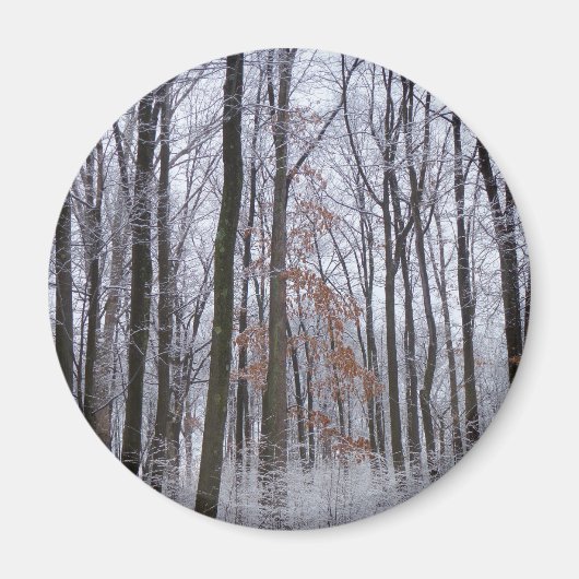 Schneebedeckte Wälder Winterlandschaft Fotografie Magnet (Vorne)