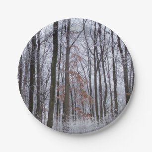Schneebedeckte Wälder Winterlandschaft Fotografie Pappteller