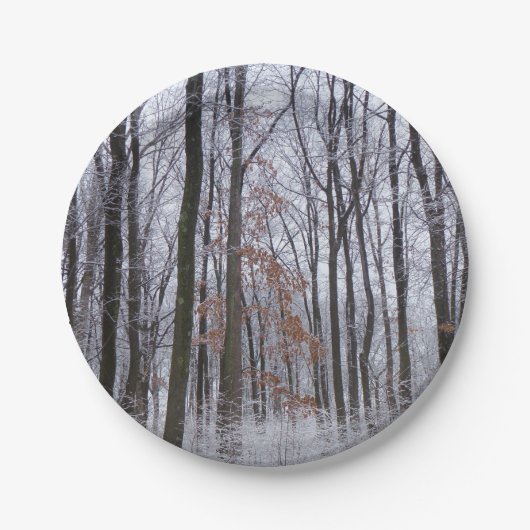 Schneebedeckte Wälder Winterlandschaft Fotografie Pappteller (Vorderseite)