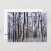 Schneebedeckte Wälder Winterlandschaft Fotografie Postkarte (Vorne/Hinten)