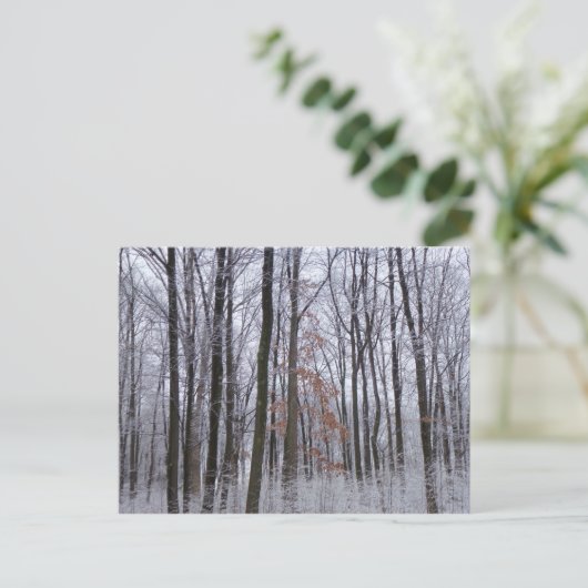 Schneebedeckte Wälder Winterlandschaft Fotografie Postkarte (Stehend Vorderseite)