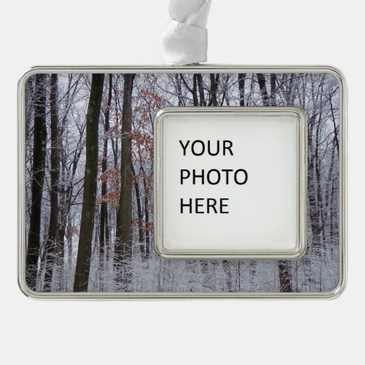 Schneebedeckte Wälder Winterlandschaft Fotografie Rahmen-Ornament Silber (Vorderseite)