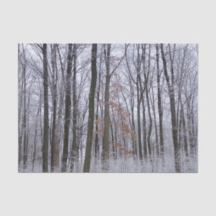Schneebedeckte Wälder Winterlandschaft Fotografie Seidenpapier