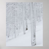 Schneebedeckte Waldwunder Poster (Vorne)