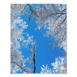 Schneebedeckte Winterlandschaft Fotodruck
