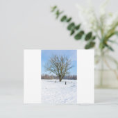 Schneebedeckte Winterlandschaft mit nacktem Baum u Postkarte (Stehend Vorderseite)