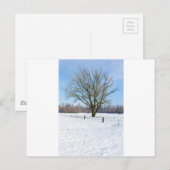 Schneebedeckte Winterlandschaft mit nacktem Baum u Postkarte (Vorne/Hinten)