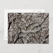 Schneebedeckte Zweige Postkarte (Vorne/Hinten)