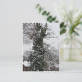 Schneebedeckter Baum Postkarte (Stehend Vorderseite)