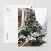 Schneebedeckter Baum Postkarte (Vorne/Hinten)