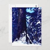 Schneebedeckter Baum Postkarte (Vorne/Hinten)