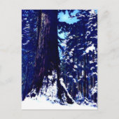 Schneebedeckter Baum Postkarte (Vorderseite)