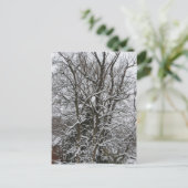 Schneebedeckter Baum Postkarte (Stehend Vorderseite)