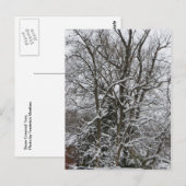 Schneebedeckter Baum Postkarte (Vorne/Hinten)