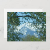 Schneebedeckter Berg durch Foliage Postkarte (Vorne/Hinten)
