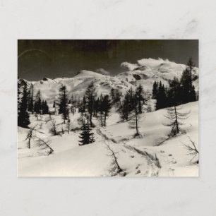 Schneebedeckter Bergwald im Vintage-Monochrom-Look Postkarte