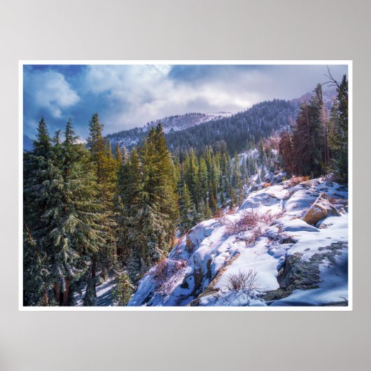 Schneebedeckter Bergwald-Wandkunst Alpine Winterdr Poster (Vorne)