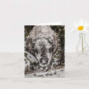 Schneebedeckter Bison Grand Teton Karte