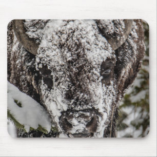 Schneebedeckter Bison Yellowstone Mousepad
