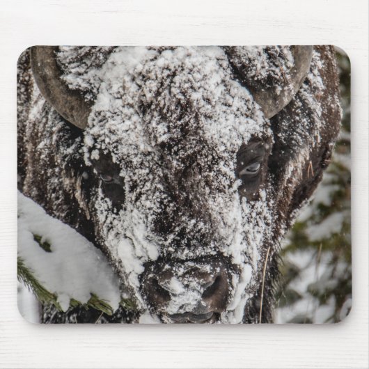 Schneebedeckter Bison Yellowstone Mousepad (Vorne)