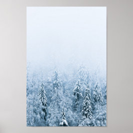Schneebedeckter Buchenwald im Nebel Poster