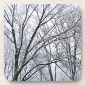 Schneebedeckter Eichenbaum Getränkeuntersetzer (Vorderseite)