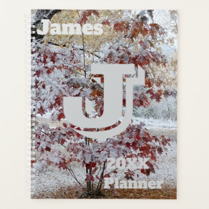 Schneebedeckter Eichenbaum, Herbst/Winter-Szene Planer