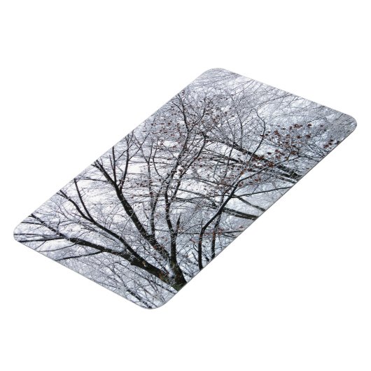 Schneebedeckter Eichenbaum Magnet (Linke Seite)