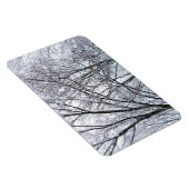 Schneebedeckter Eichenbaum Magnet (Rechte Seite)