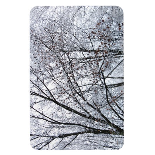 Schneebedeckter Eichenbaum Magnet (Vertikal)