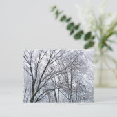 Schneebedeckter Eichenbaum Postkarte (Stehend Vorderseite)