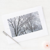 Schneebedeckter Eichenbaum Rechteckiger Aufkleber (Umschlag)