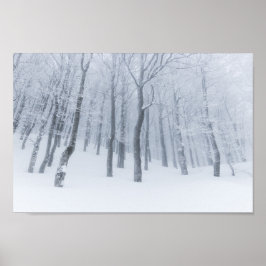 Schneebedeckter gefrorener Wald im Winter Poster