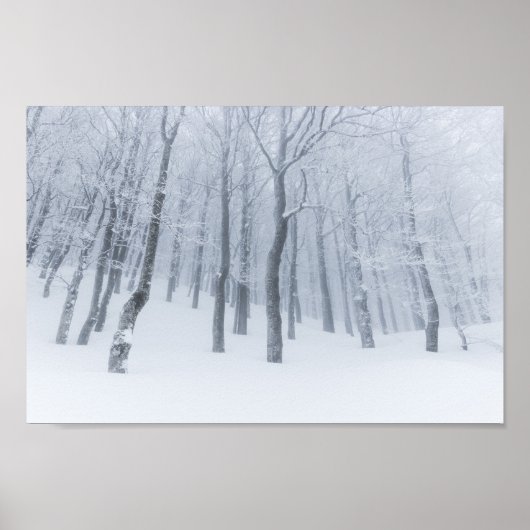 Schneebedeckter gefrorener Wald im Winter Poster (Vorne)