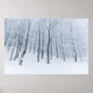 Schneebedeckter gefrorener Wald im Winter Poster