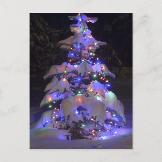 Schneebedeckter, hellblauer Weihnachtsbaum Feiertagspostkarte (Vorderseite)