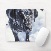 Schneebedeckter Hund Mousepad (Mit Mouse)
