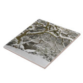 Schneebedeckter japanischer Ahorn Fliese (Seite)